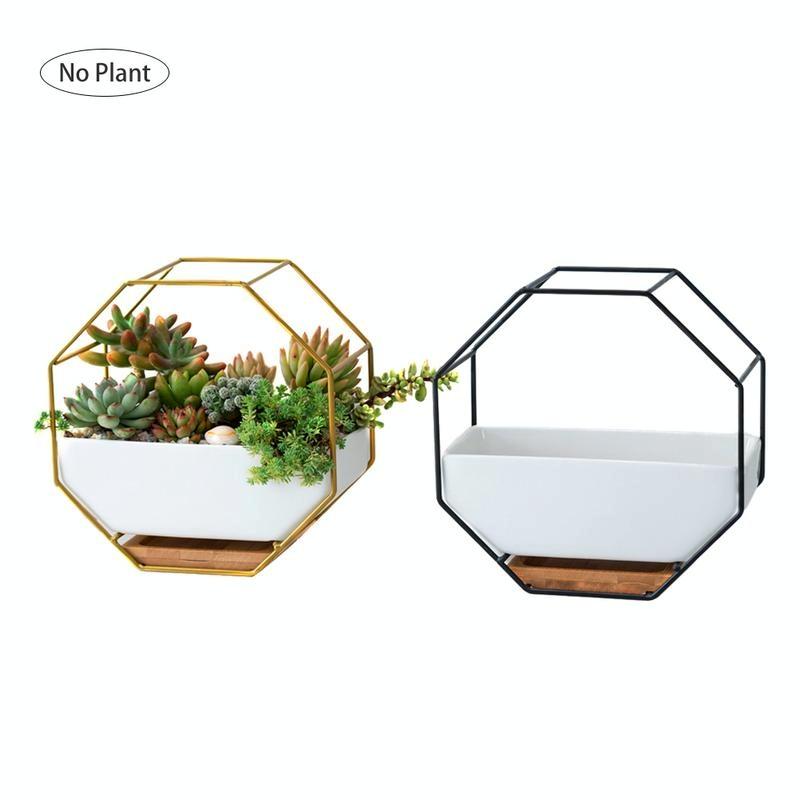 Geometric Wall Hanging Table with Bamboo Support and Iron Frame for Succulents - Black 13