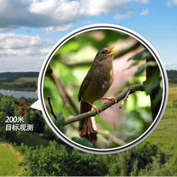 Waterproof Hd Night Vision Binoculars - Nitrogen-filled - 10X42 12