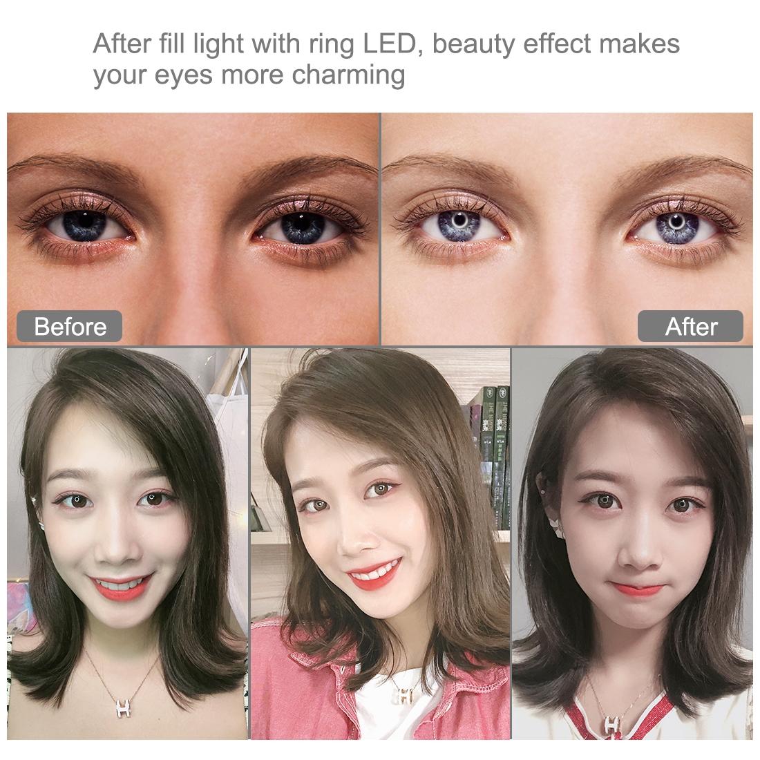 10.2 26cm Ring Light Kit with Tripod Usb 3 Modes Dual Colour Phone Clamp Remote - Black 8