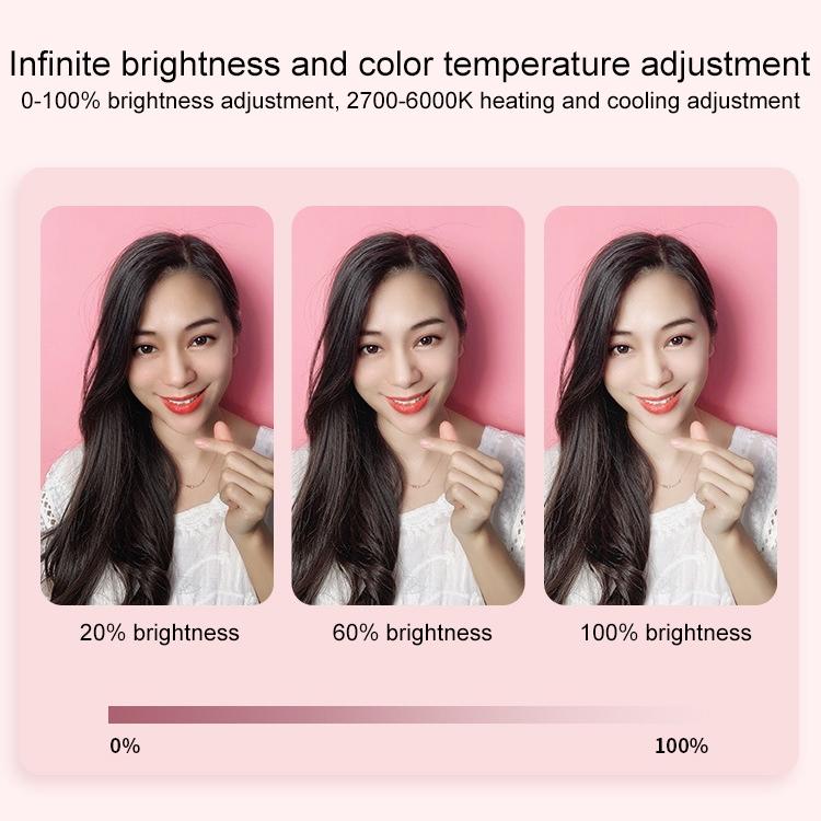 Portable Live Light Holder - Wk Wt-p11 - Pink 8