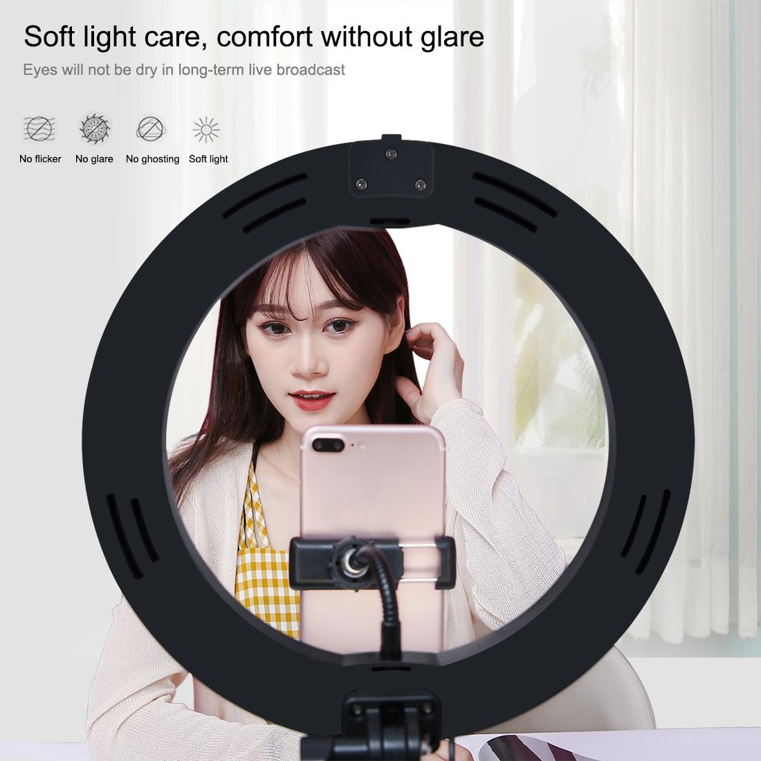10.2 Dual-colour Led Ring Light with Usb Bluetooth Remote and Phone Holder - White 10