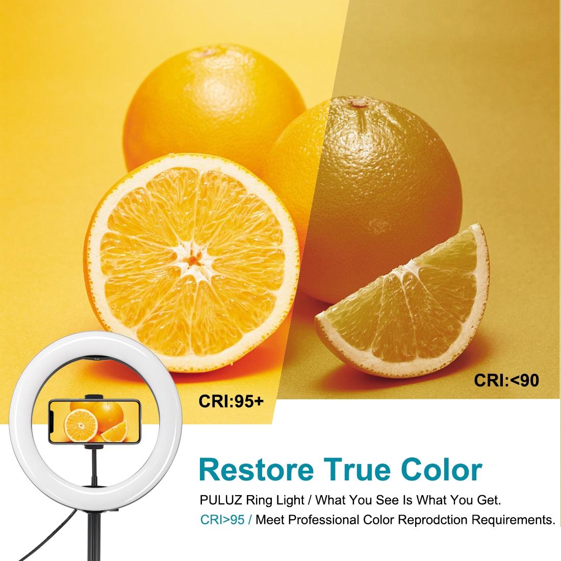 10.2 Dual-colour Led Ring Light with Usb Bluetooth Remote and Phone Holder - White 11