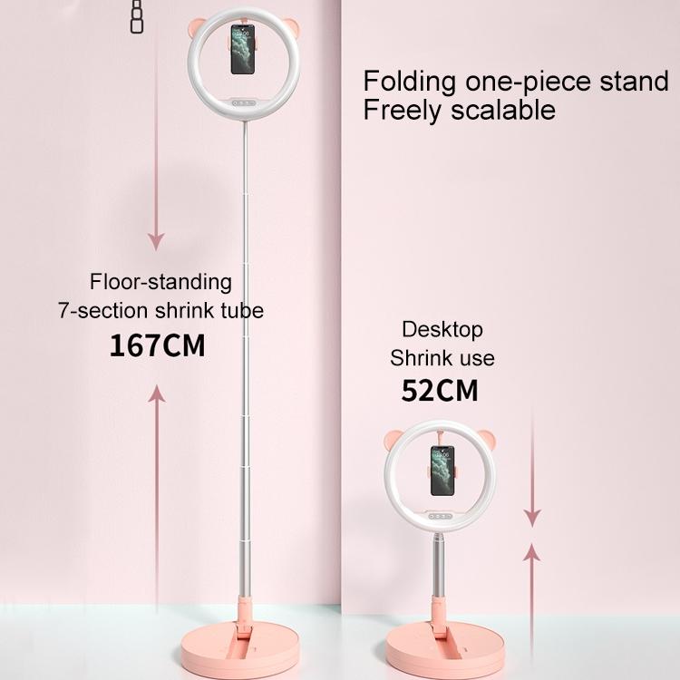 Portable Live Light Holder - Wk Wt-p11 - White 7