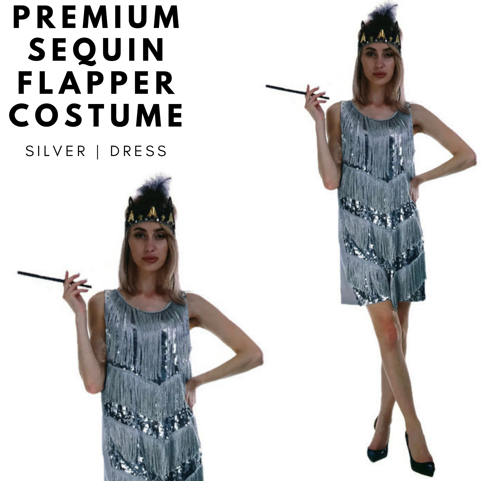 Charleston Sequin Flapper Fringe Costume Tassel Party Fancy Dress 20s 30s - Silver 3