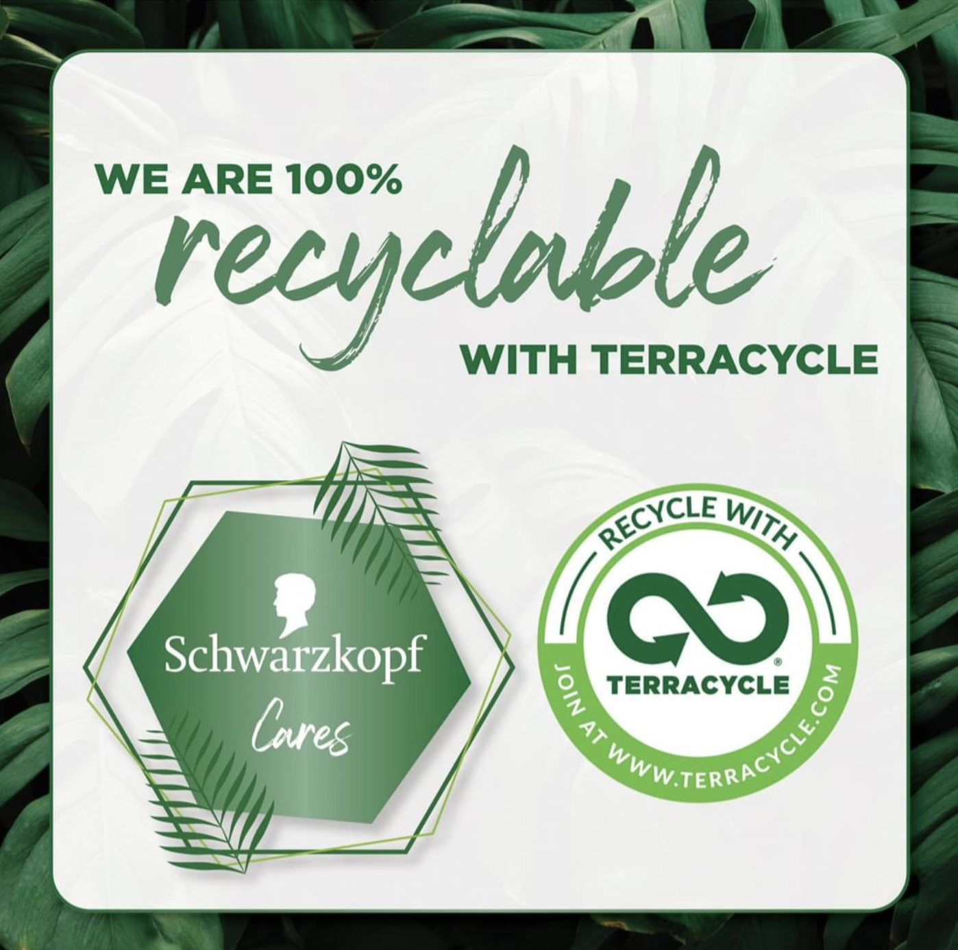 Schwarzkopf Bio-Tech Conditioner + Colour Locking Minerals Pomegranate Oil 500ml 4