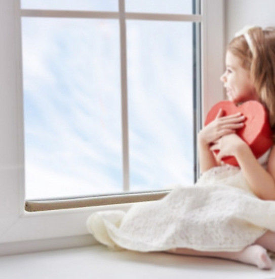 DUAL DRAFT STOPPER Double Sided Snake Wind Air Door Guard Cover Weather Seal 7