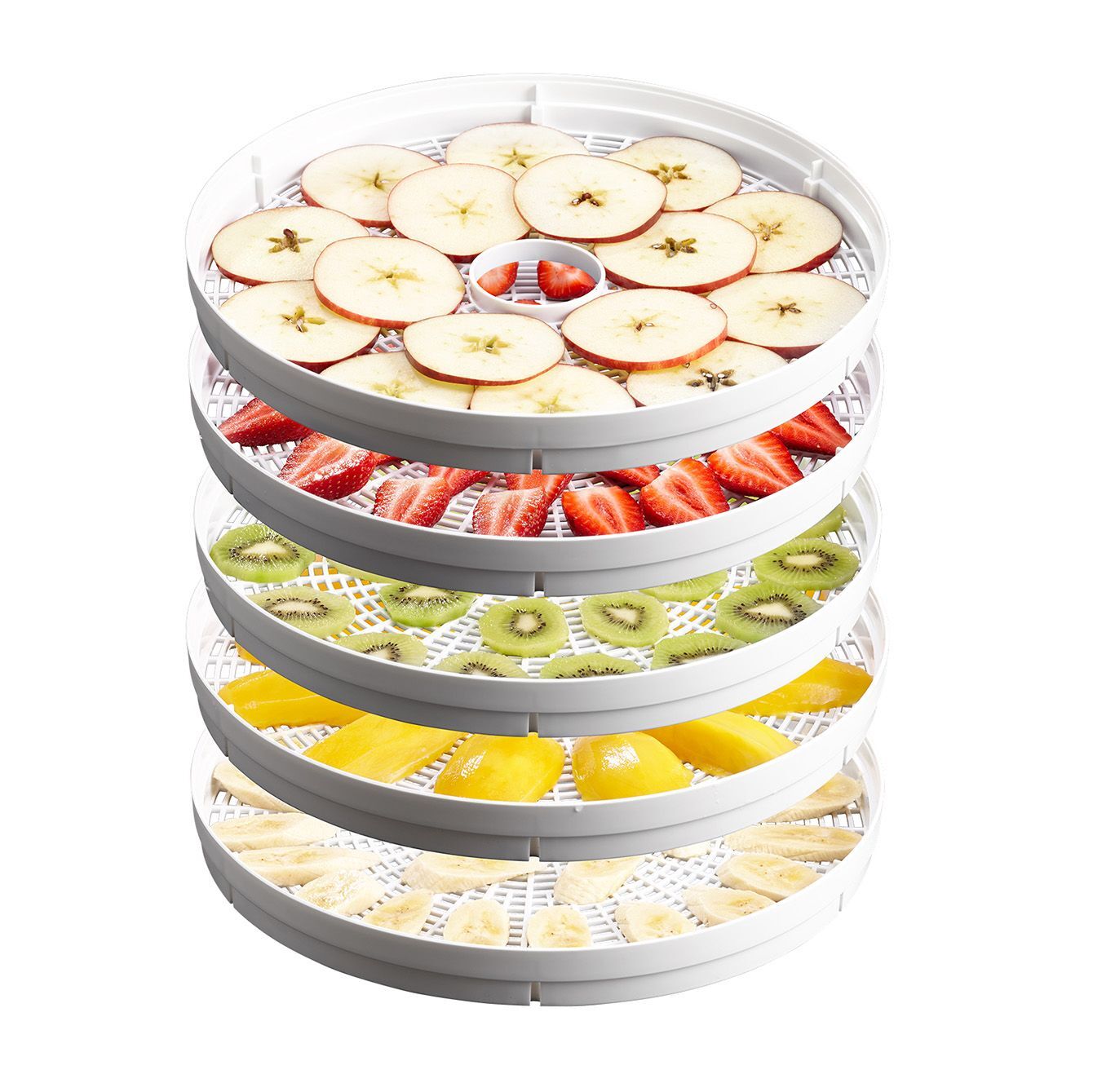 Sunbeam DT5600 Food Dehydrator 5 Stackable Drying Racks with Fruit Roll Tray 4