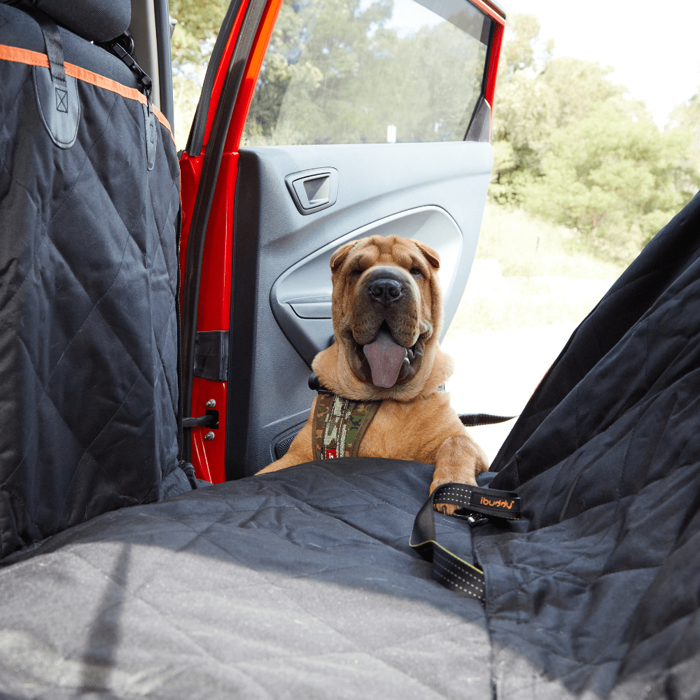 iBuddy Dog Seat Cover Car Hammock w/ Mesh Window & Dog Seat Belt 5