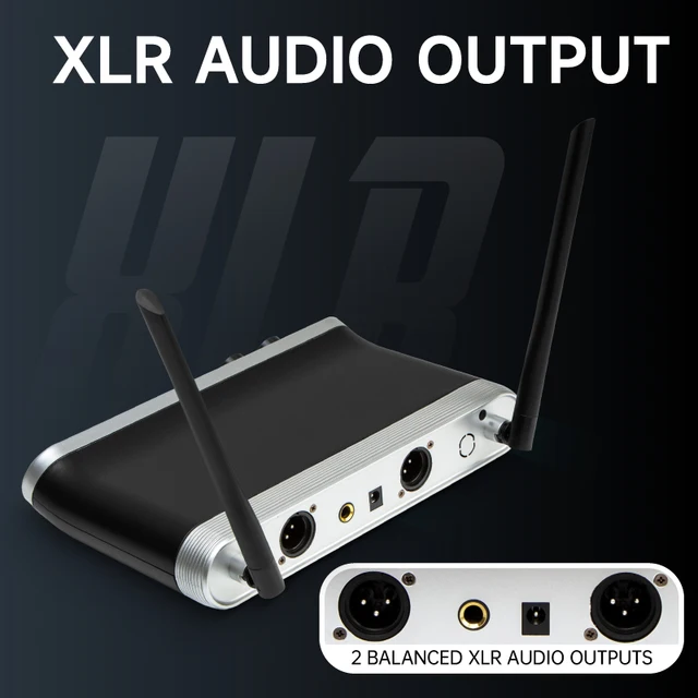 Hridz Wireless UHF Microphone Kit Dual Handheld Mics with 100m Range Receiver for Karaoke Meetings Parties 5