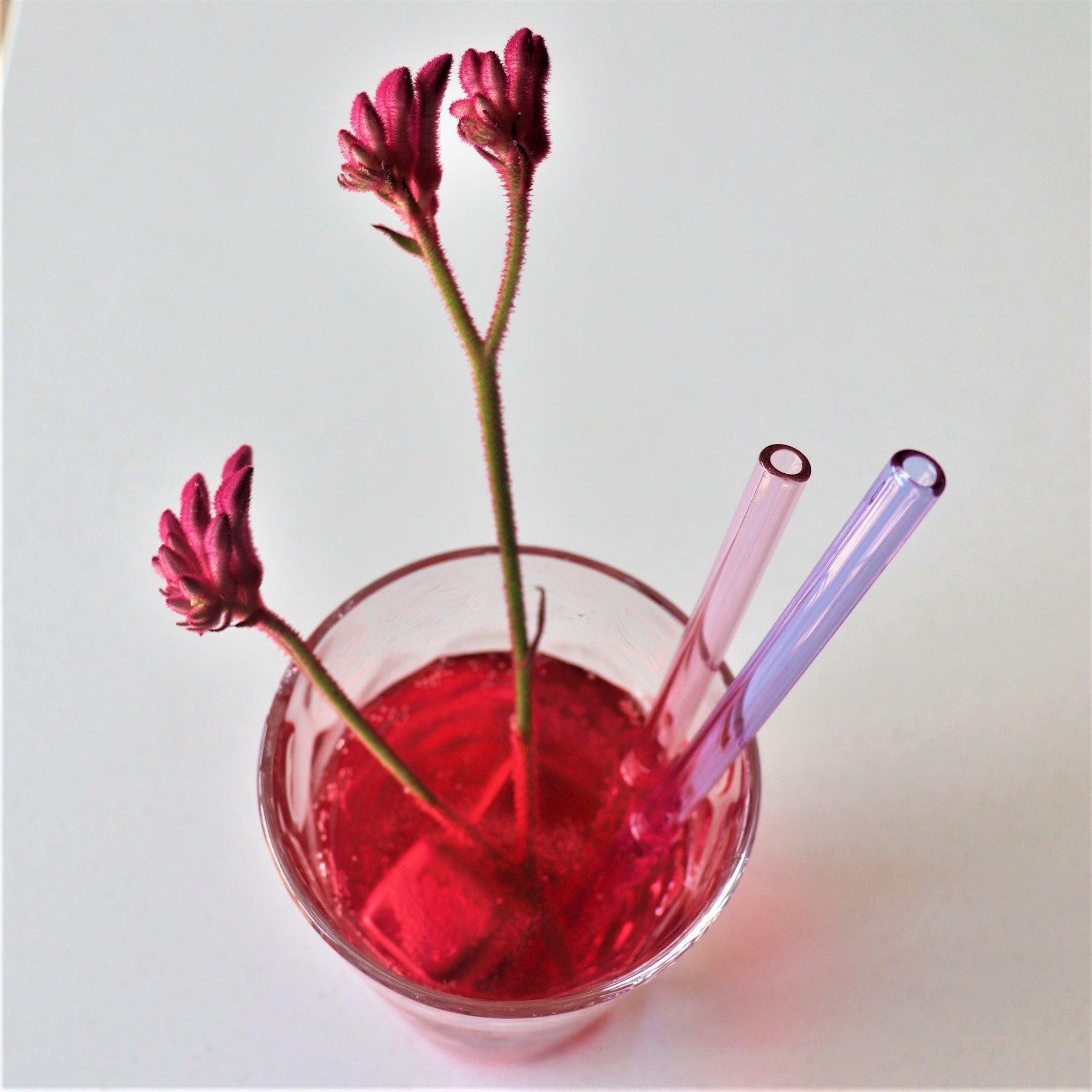 Glass Drinking Straw Set with Metal Straw Cleaner 6