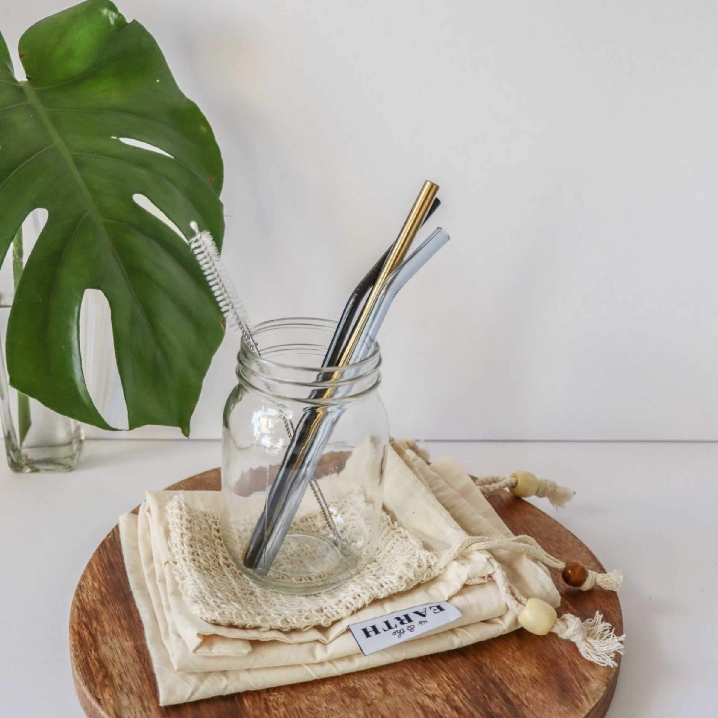 Stainless Steel Drinking Straw Set 3