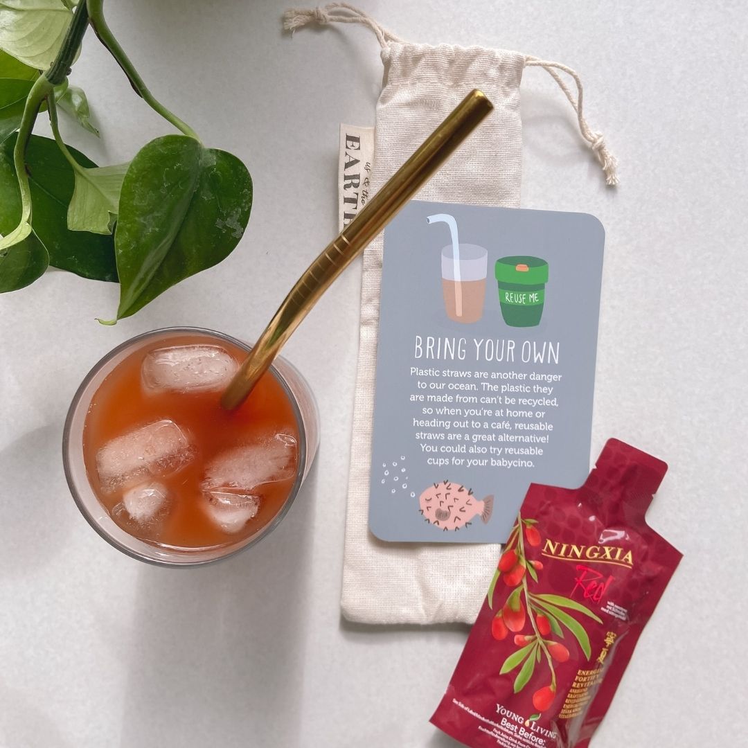 Stainless Steel Drinking Straw Set 7