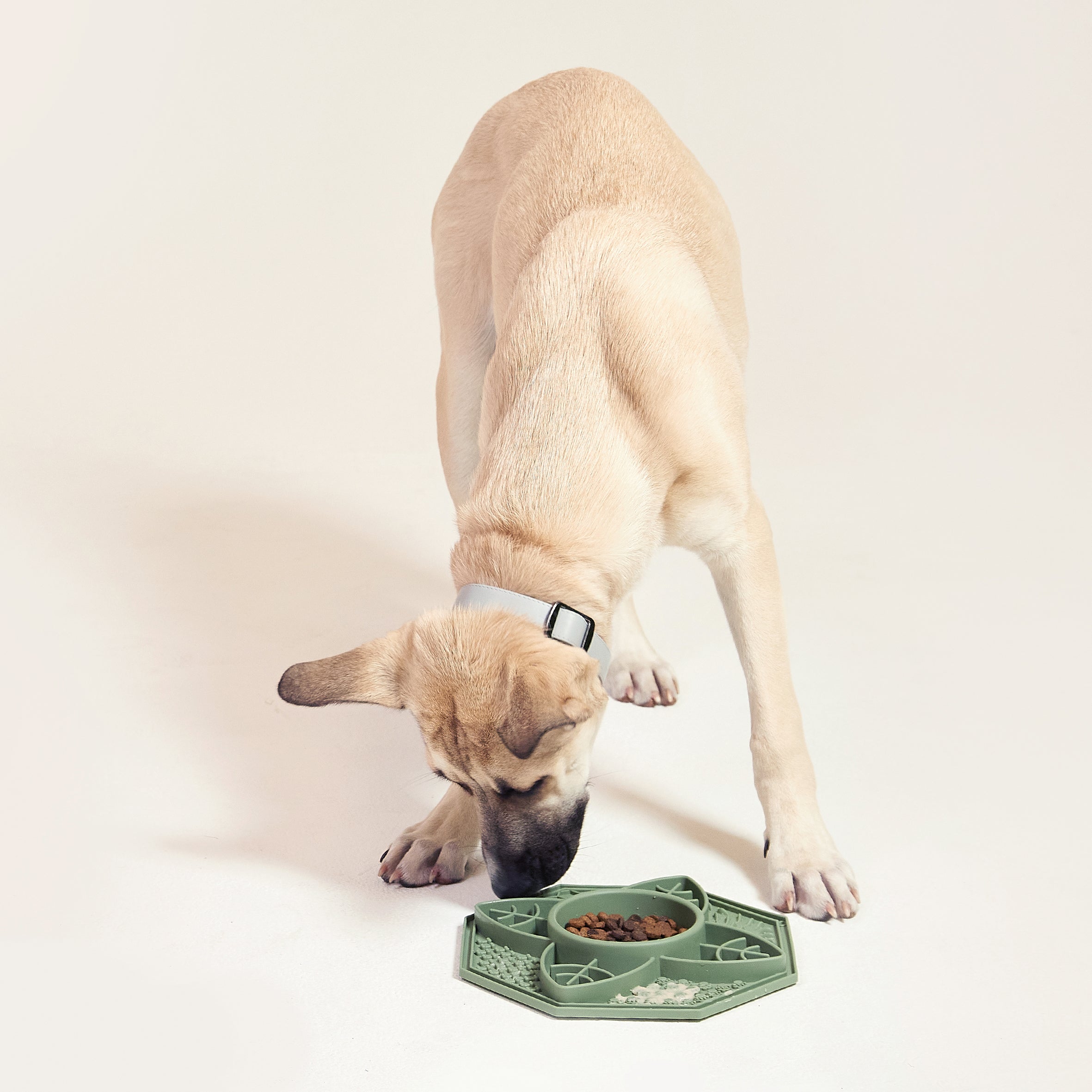 Flower Mandala Slow Feeder Lick Mat Bowl - Green 2