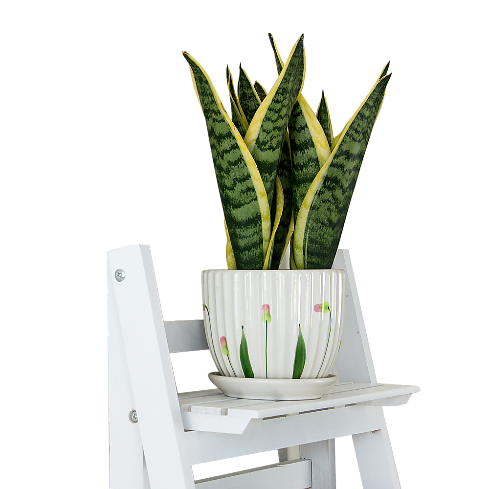 5 Tier Wooden Ladder Shelf Stand Storage Book Shelves Shelving Display Rack 6