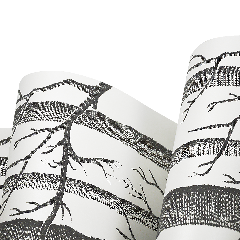 Wallpaper White Birch Tree Non-woven Wall Paper Roll 4