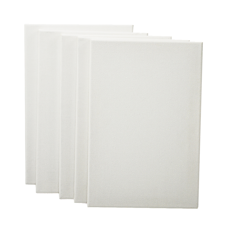 5 pack of 20x30cm Artist Blank Stretched Canvas Canvases Art Large White Range Oil Acrylic Wood 6