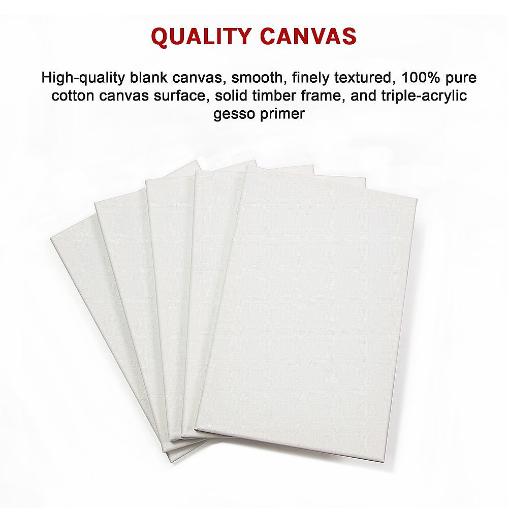 5 pack of 20x30cm Artist Blank Stretched Canvas Canvases Art Large White Range Oil Acrylic Wood 11