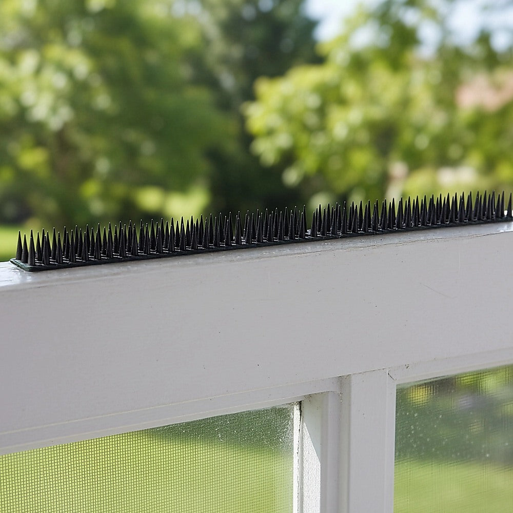 12pc Bird Spikes Human Cat Possum Mouse Pest Control Spiked Fence Wall Deterrent 7