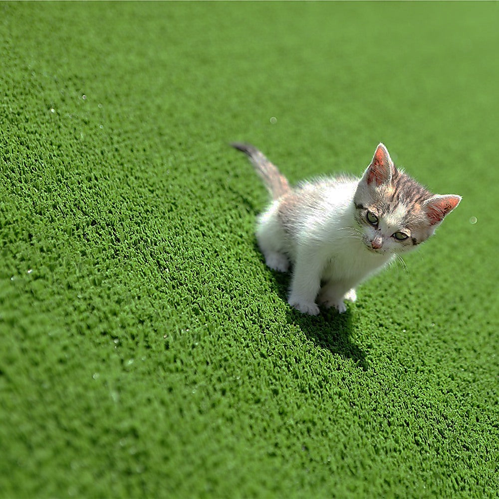 200cm x 250cm Lawn Turf Artificial Grass Mat Carpet Fake Synthetic Garden Landscape 6