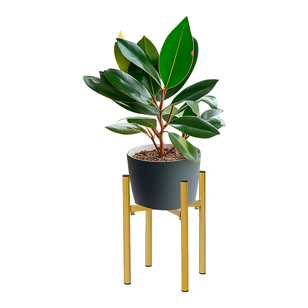 Metal Plant Stand Adjustable Indoor 5