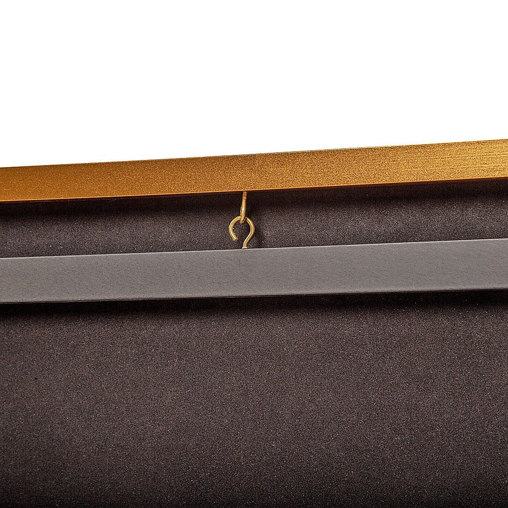 Wall Display/Case Lockable Rack 80cm Football Basketball Jersey Storage Box in Gold 3