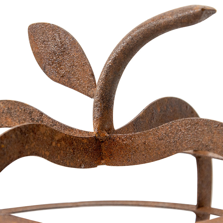 Contemporary Apple Decoration 27x30cm 5