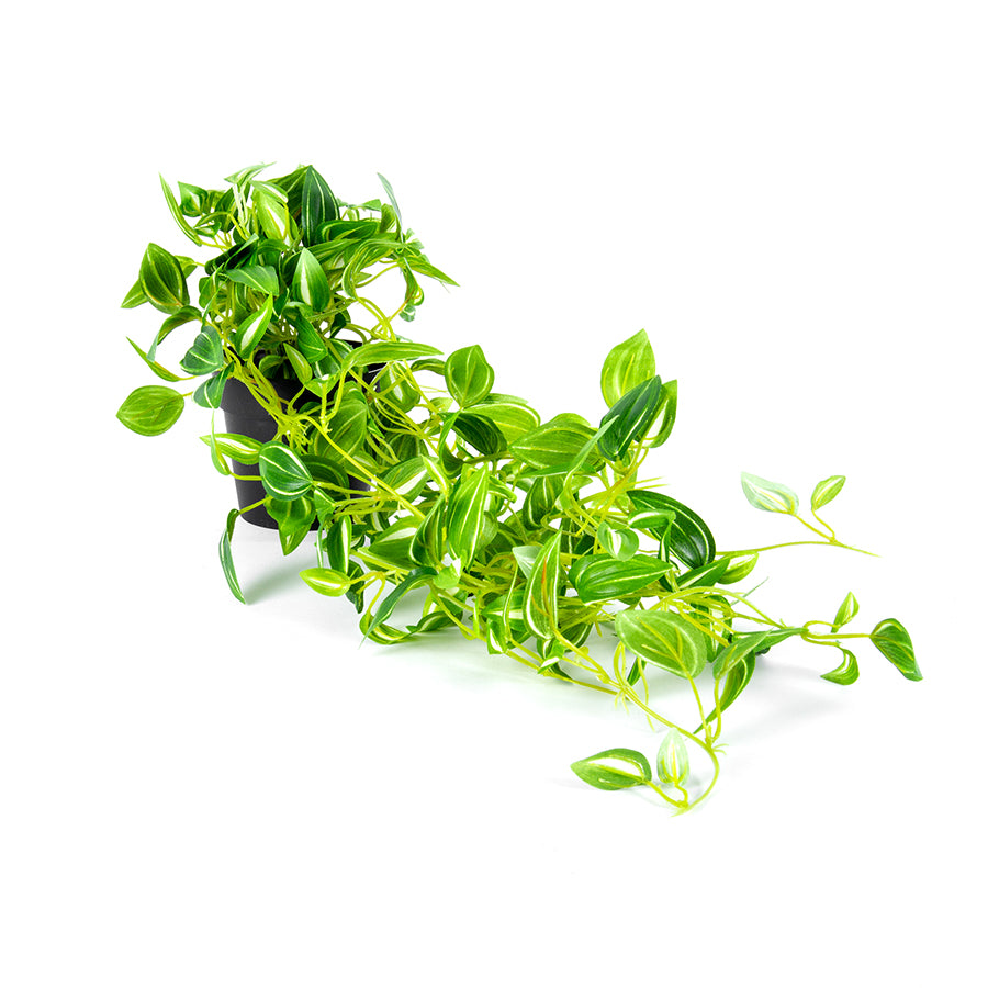 Potted Hanging Faux Green Weeper 72cm