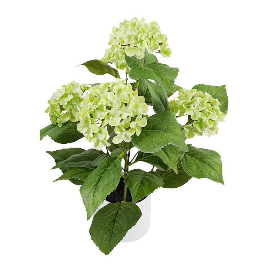 Potted Artificial Green Hydrangea 50cm 5