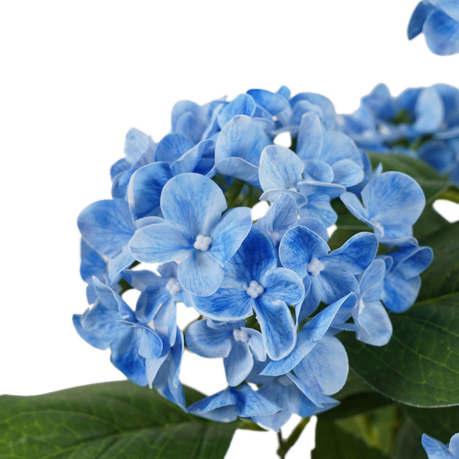 Potted Artificial Blue Hydrangea 50cm 3