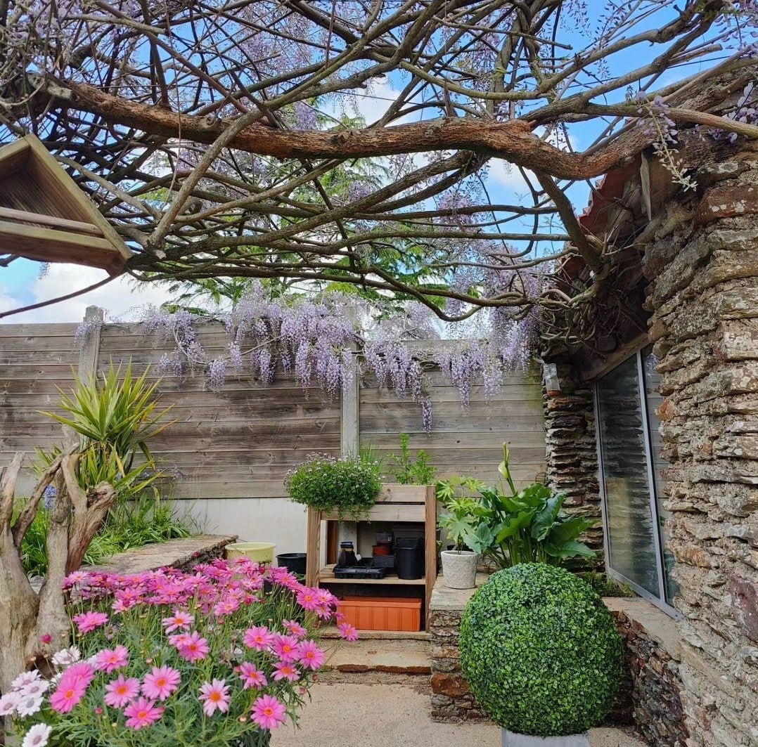 Large Boxwood Topiary Ball UV Resistant 44cm 3