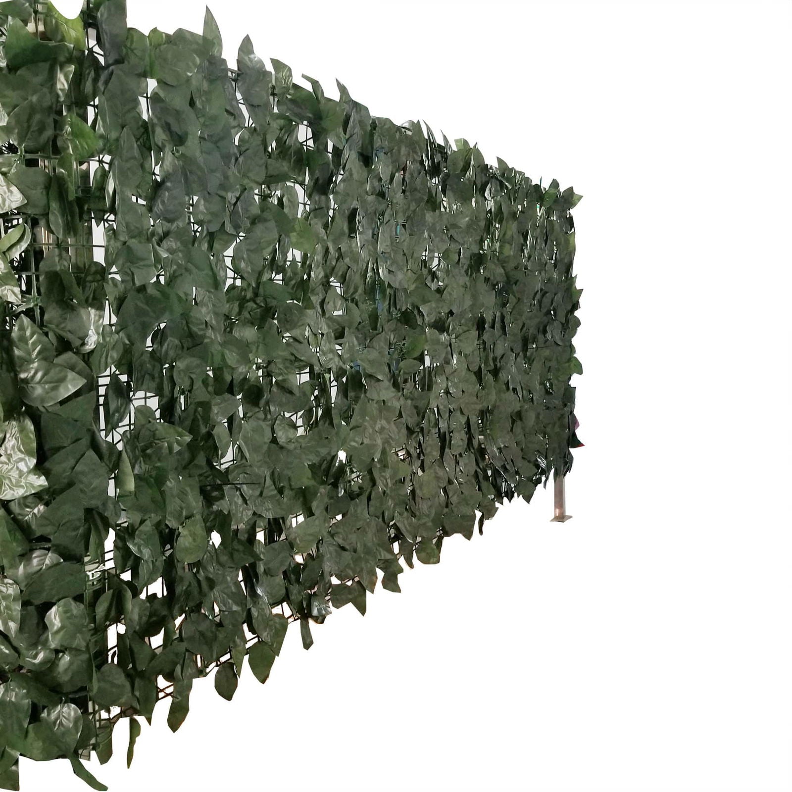 Artificial Ivy Leaf Hedging 3M x 1M Roll (Fake Ivy Roll) 4