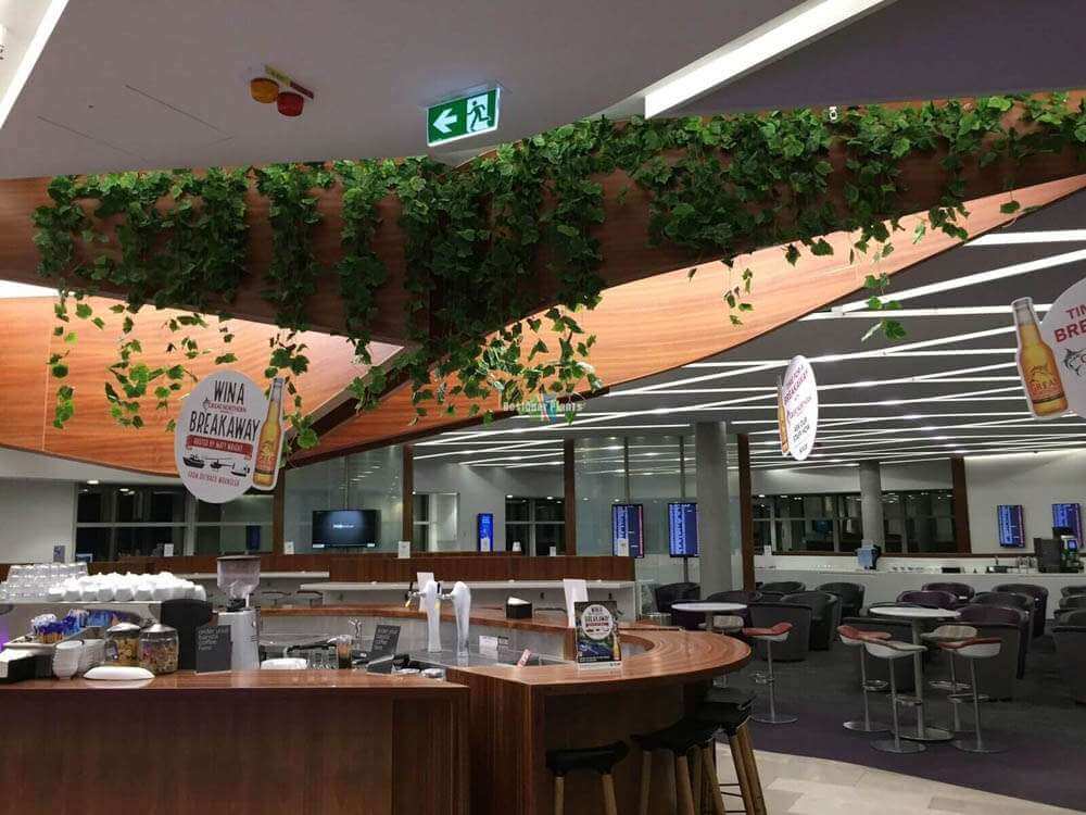 Ivy Garland Vines 260cm Each ? 5 Per Pack 4