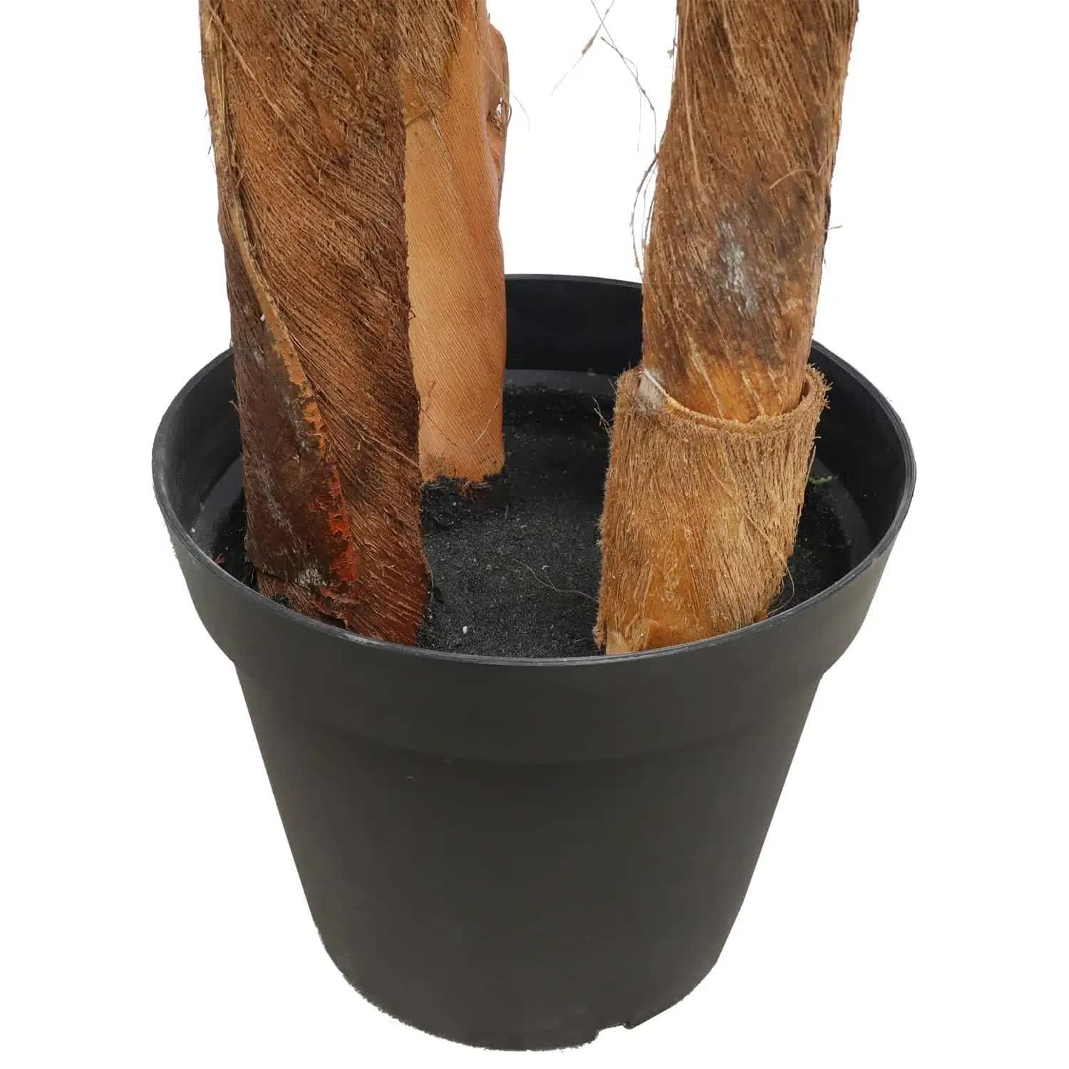 Large Tropical Palm Tree (Amazingly Real) 300cm 3