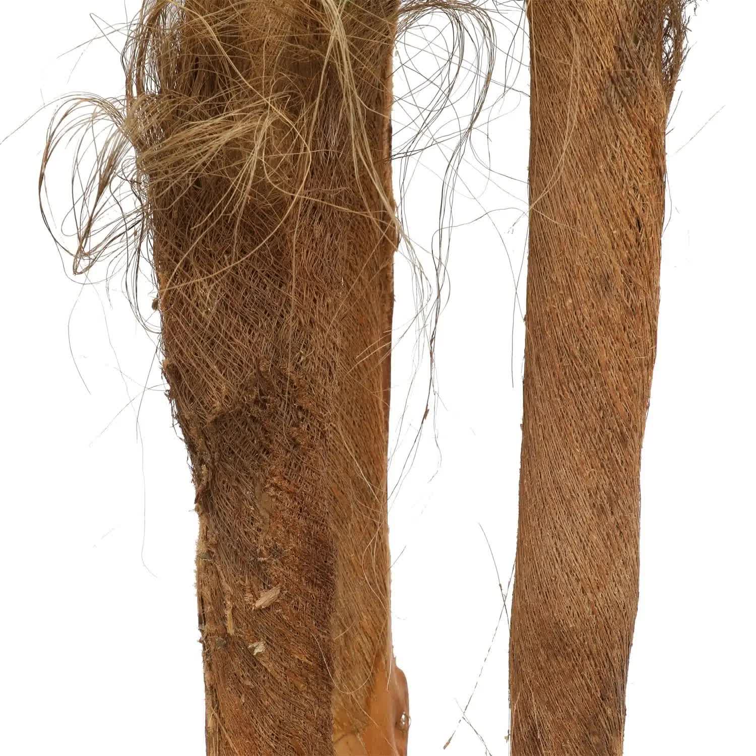 Large Tropical Palm Tree (Amazingly Real) 300cm 4