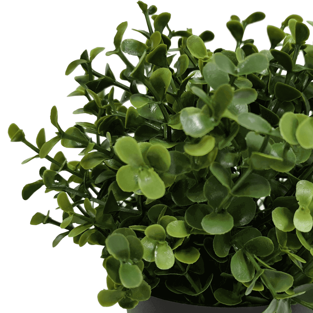 Small Potted Artificial Buxus Plant UV Resistant 20cm 3
