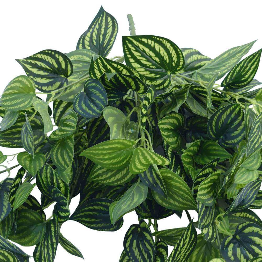 Bright Mixed Philodendron Garland Bush 100cm 4