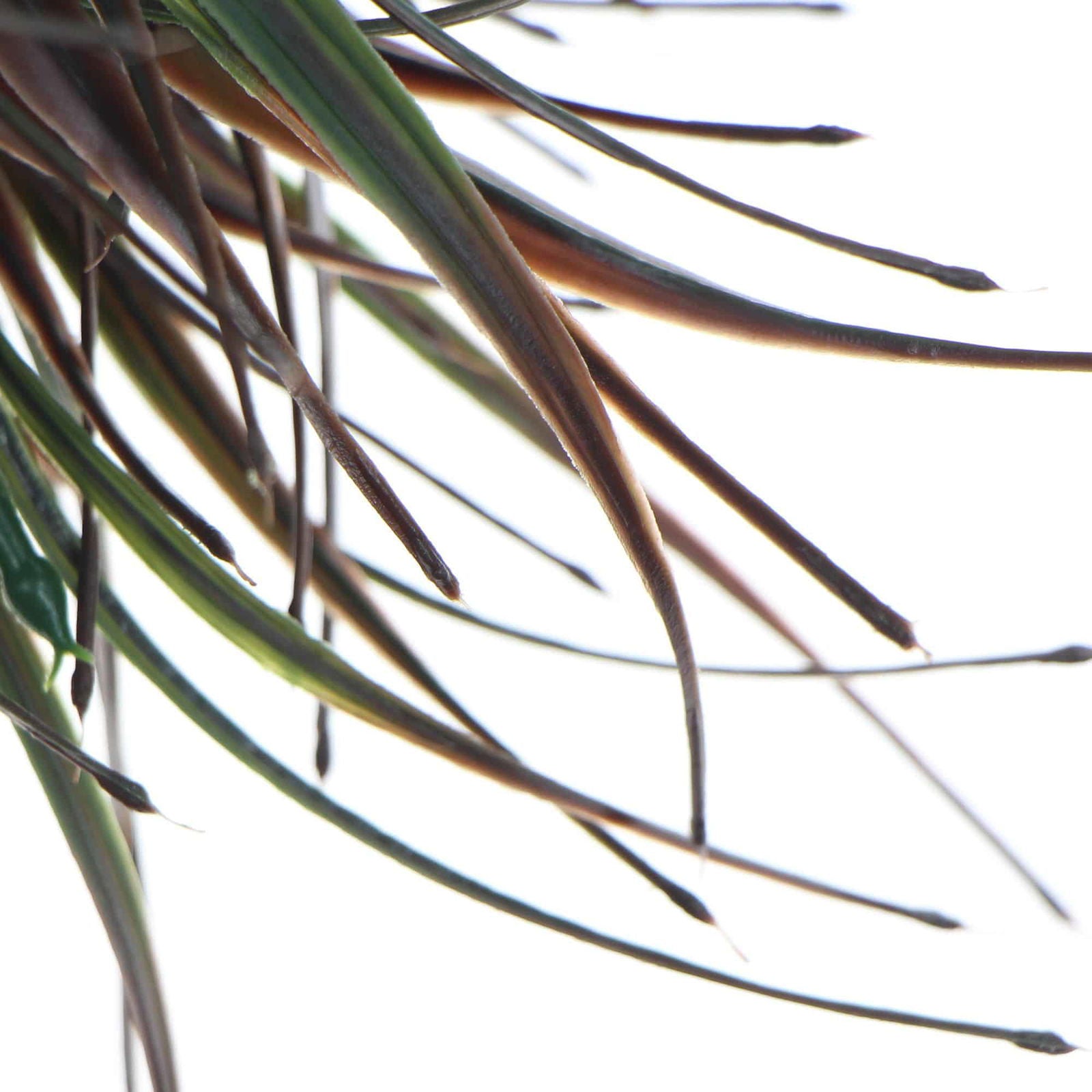 Artificial Brown Tipped Grass Plant UV Resistant 35cm 3