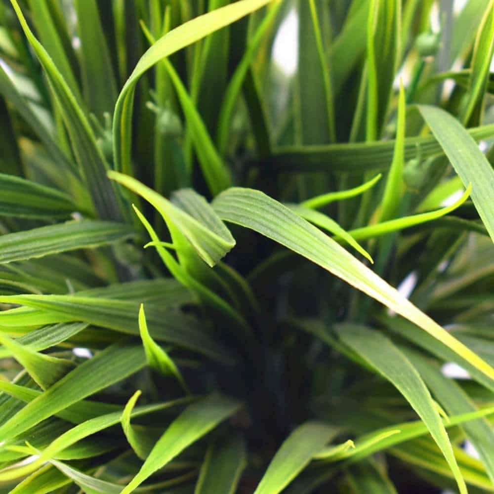 Artificial Ornamental Potted Dense Green Grass UV Resistant 38cm 3