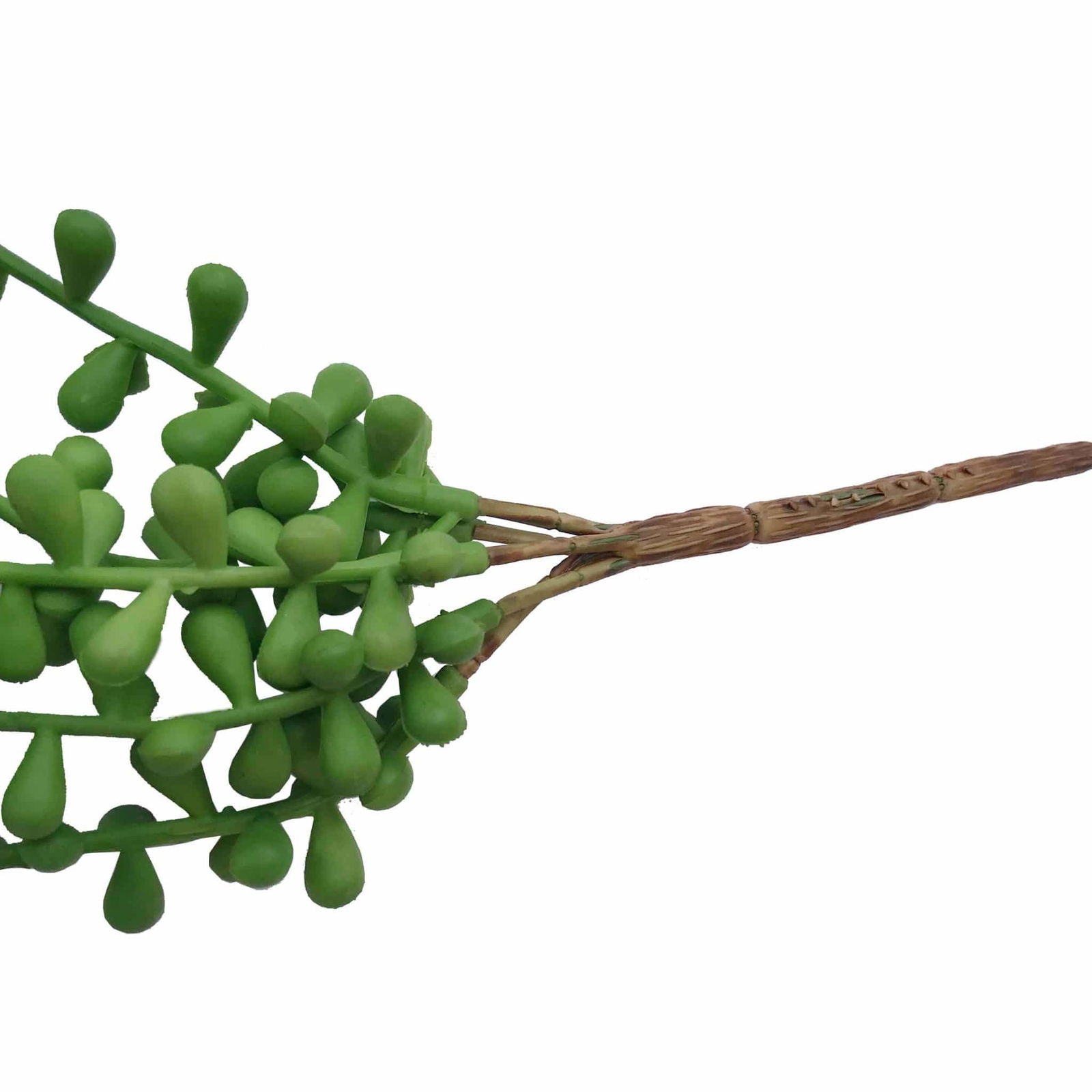 Hanging Succulent String Of Pearl Beads 75cm 4