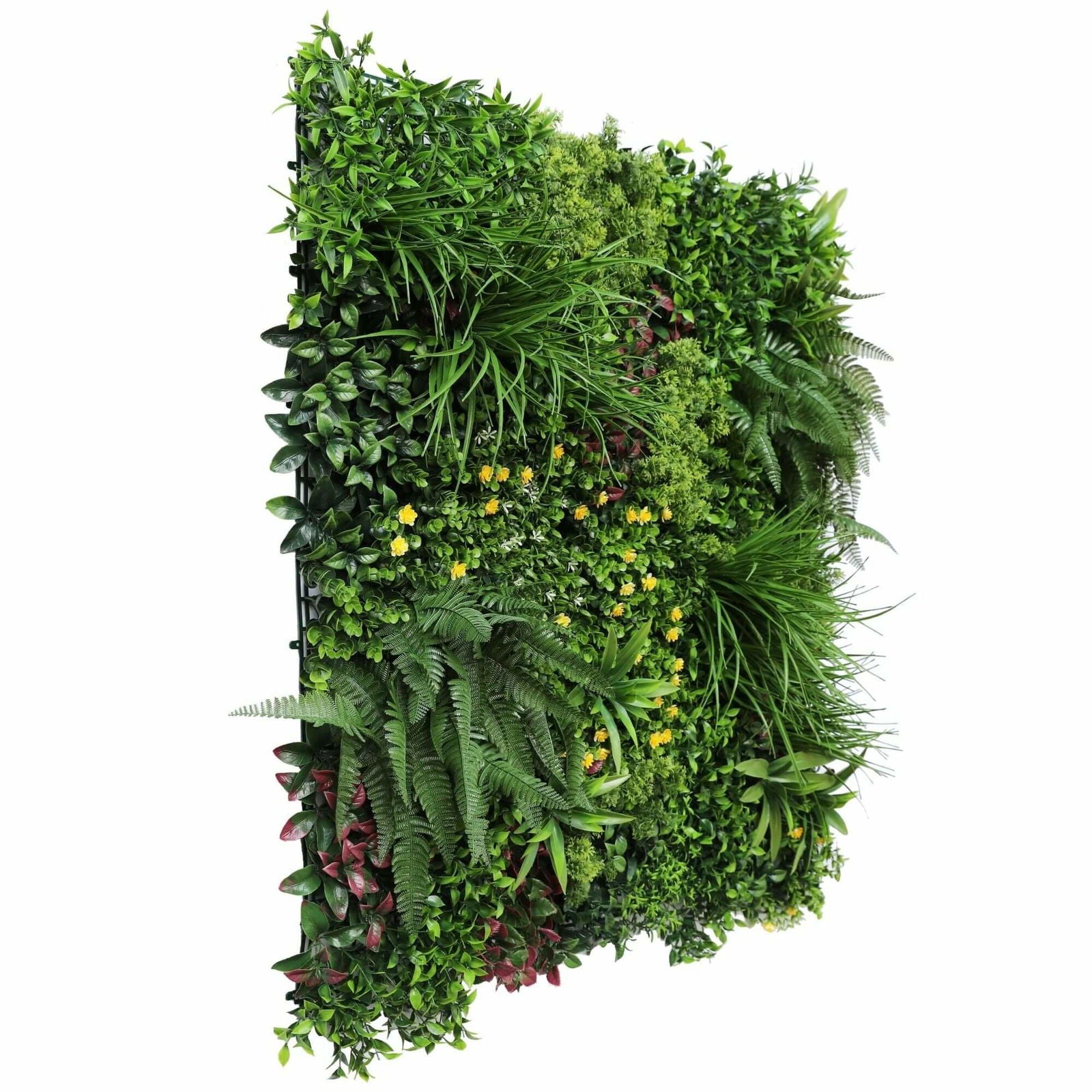 Luxury Country Fern Recycled Vertical Garden / Green Wall UV Resistant 100cm X 100cm 3