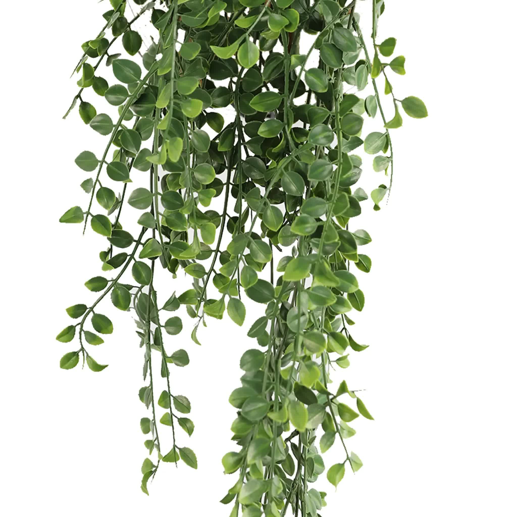 Artificial Hanging Dark Green Hanging Pearls Garland Bush UV Resistant and Fire Rated 20cm x 79cm 3