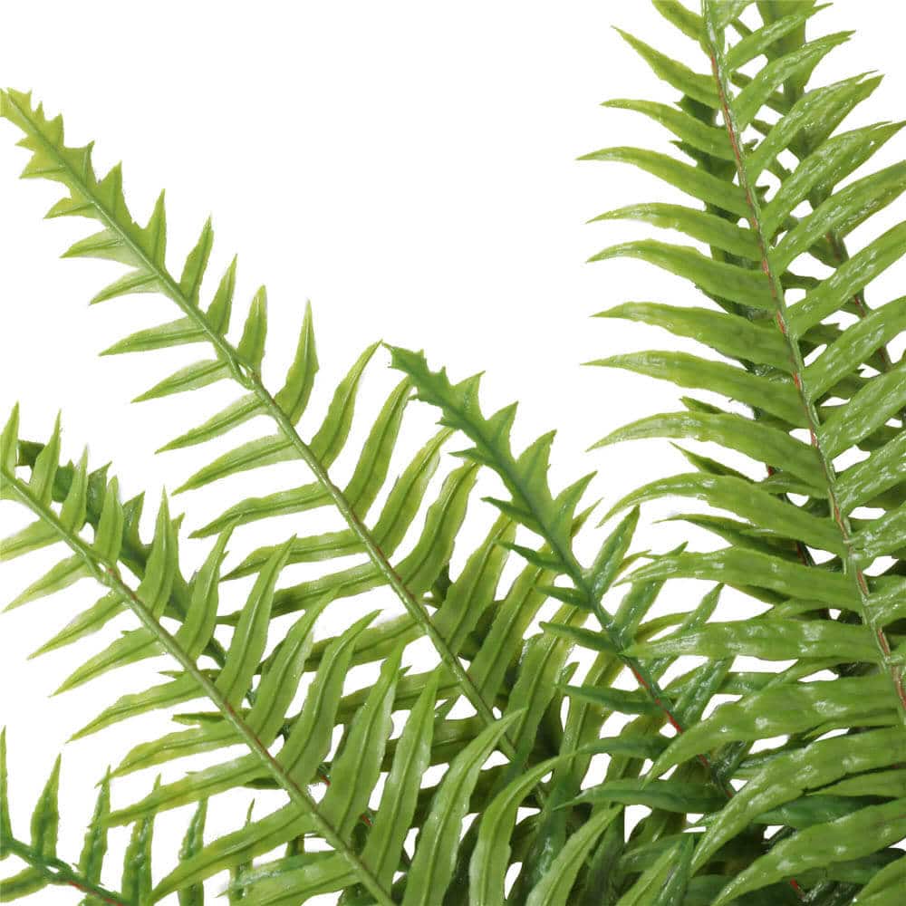 Artificial Fern (Lady Fern) 50cm UV Resistant 3