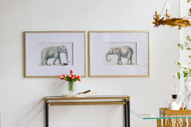 Set 2 Elephant Framed Prints 80cm