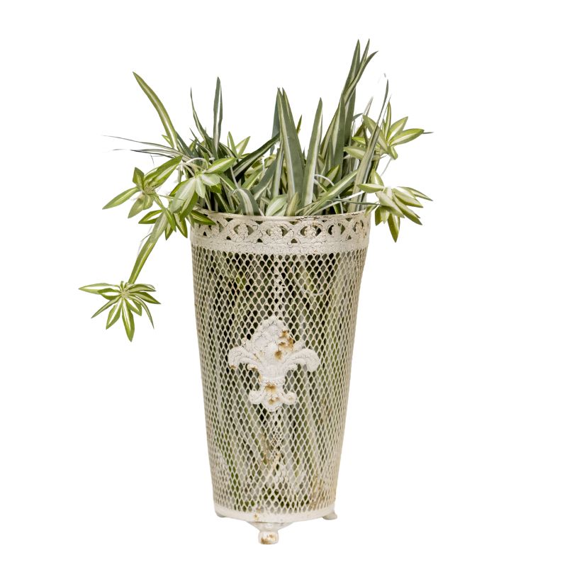 French Provinicial Dry-Flower Vase w Fleur-De-Lis 33cm