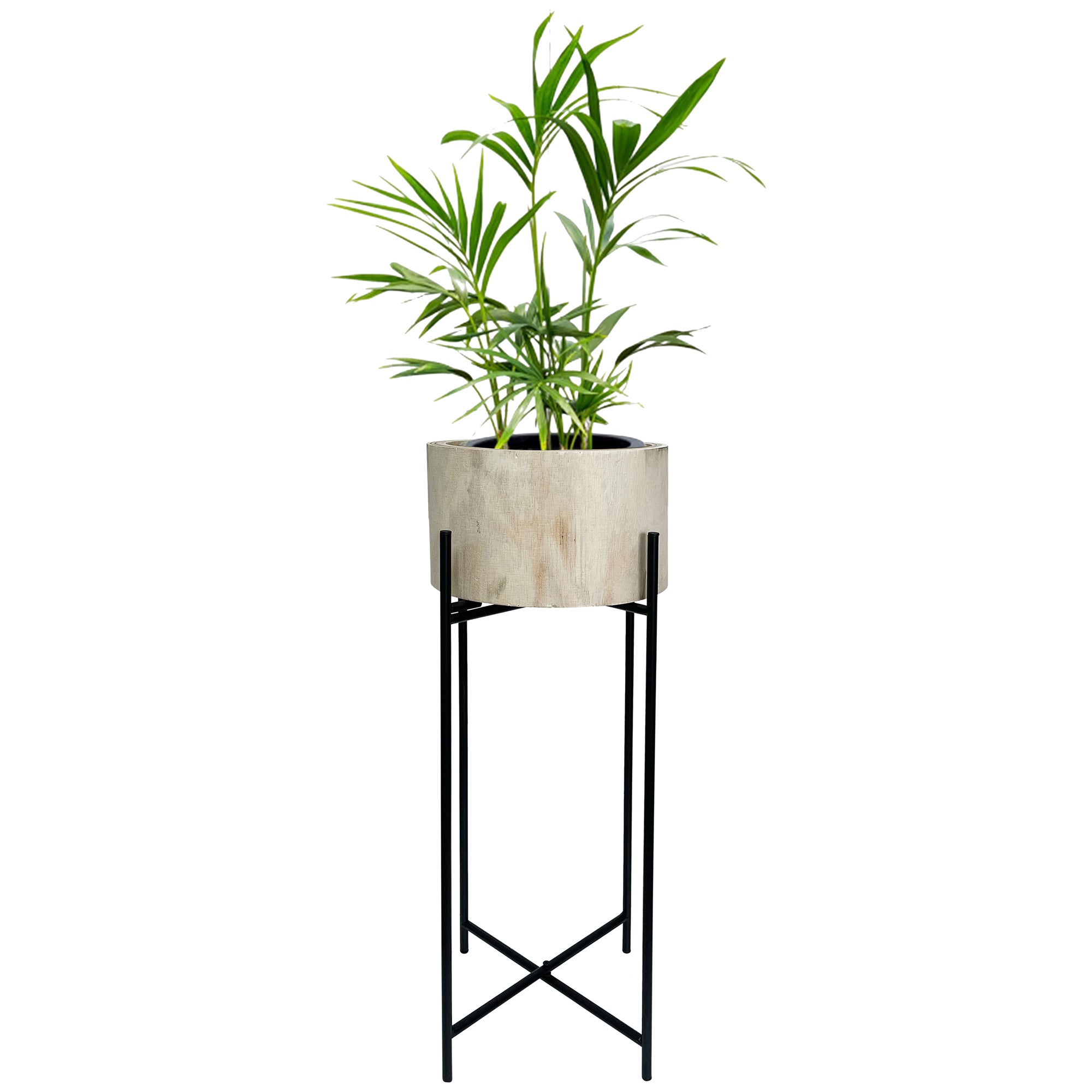 Natural Wood Potplanter on Cross Legged Stand 66cm
