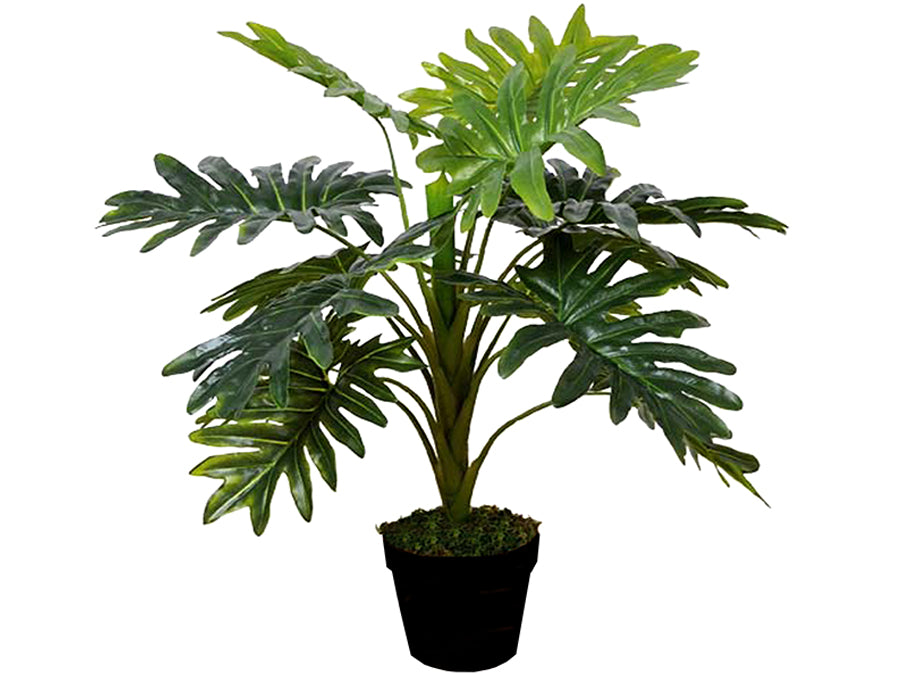 Artificial Janet Craig Dracaena in Pot 70cm
