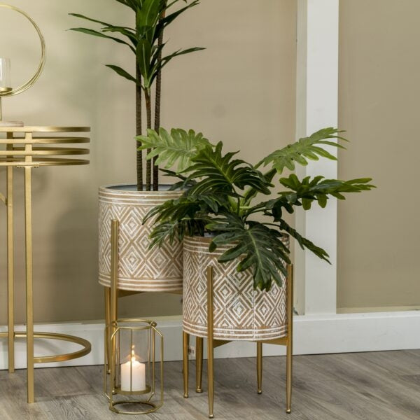 Artificial Janet Craig Dracaena in Pot 70cm 3