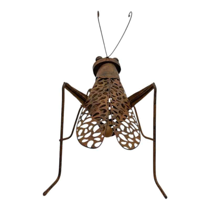 Lucky Praying Mantis w Leafy Rear Legs 73cm 4