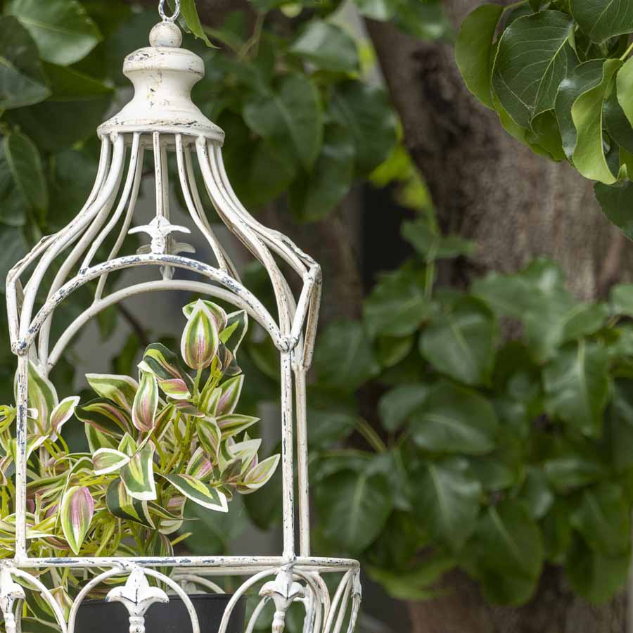 Martinique Classic Hanging Planter 20x62cm 5