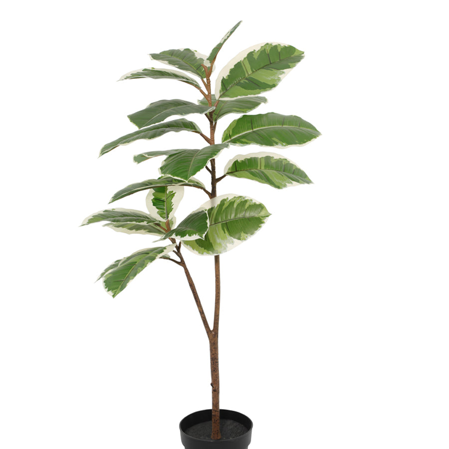 Potted Artificial Variegated Rubber Leaf Tree 118cm 4